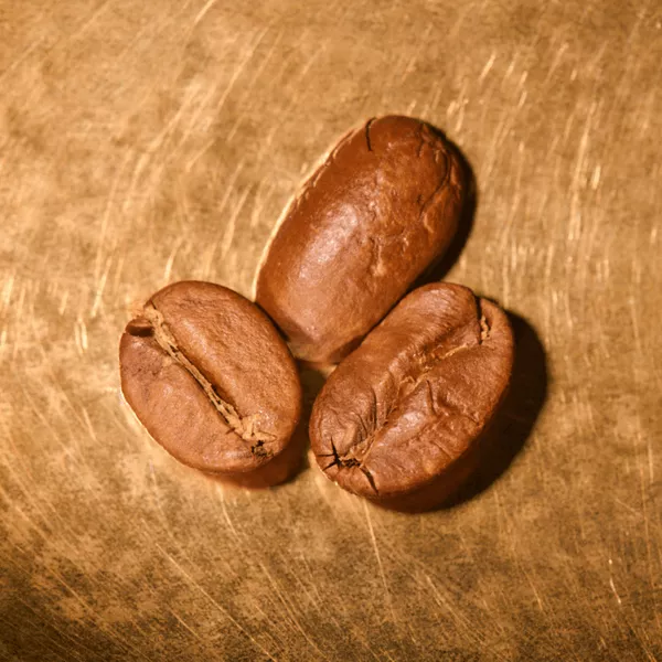 Kaffeebohnen geröstet  Indien Ratnagiri Pearl Mountain auf goldenem Hintergrund | Die Rösterei Coffeum Hamburg