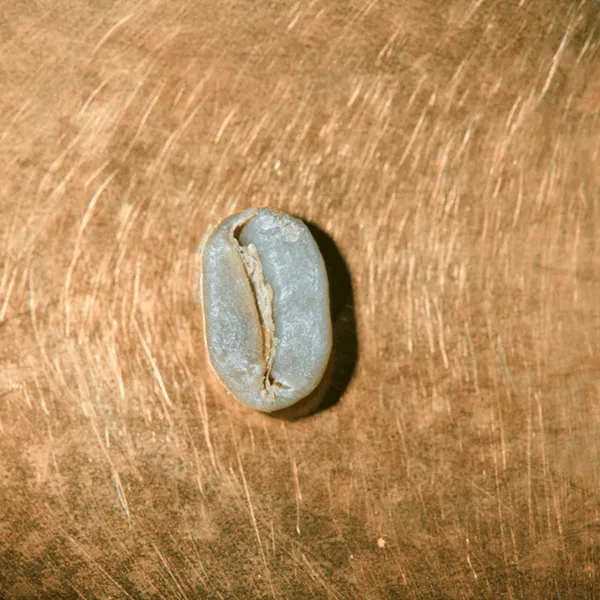 Boquete Finca El Salto