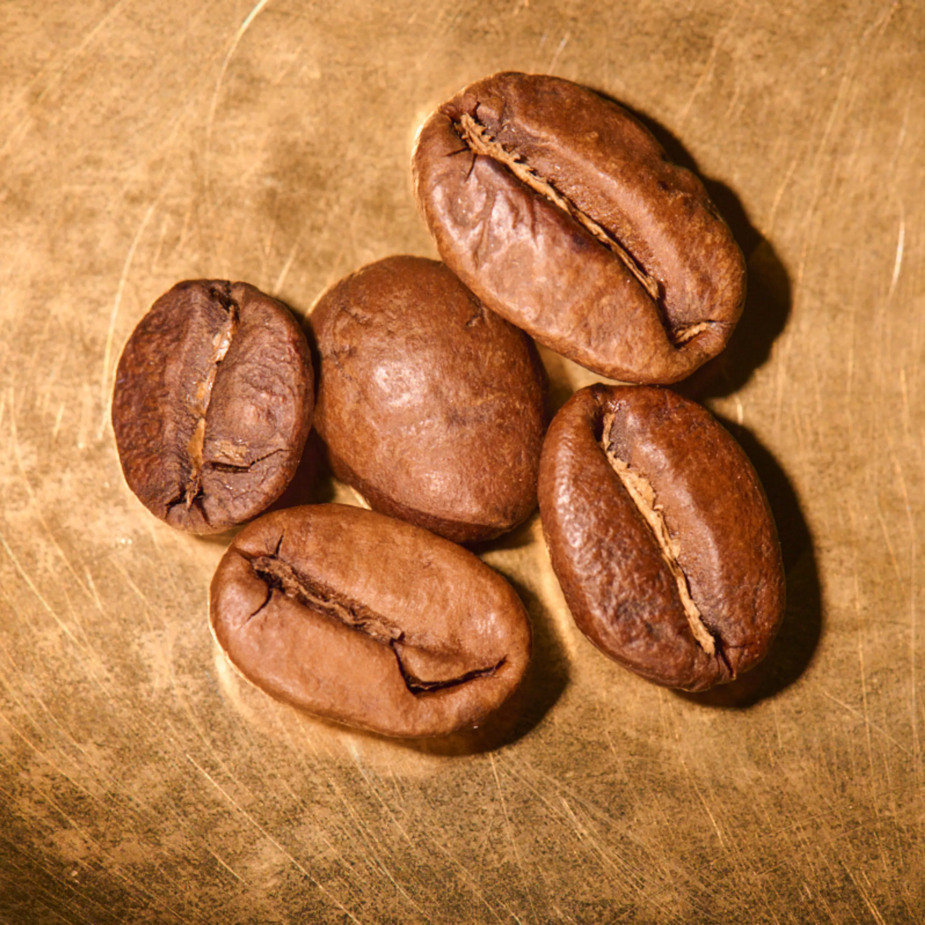 Kaffeebohnen geröstet  Blend Wiener Melange auf goldenem Hintergrund | Die Rösterei Coffeum Hamburg