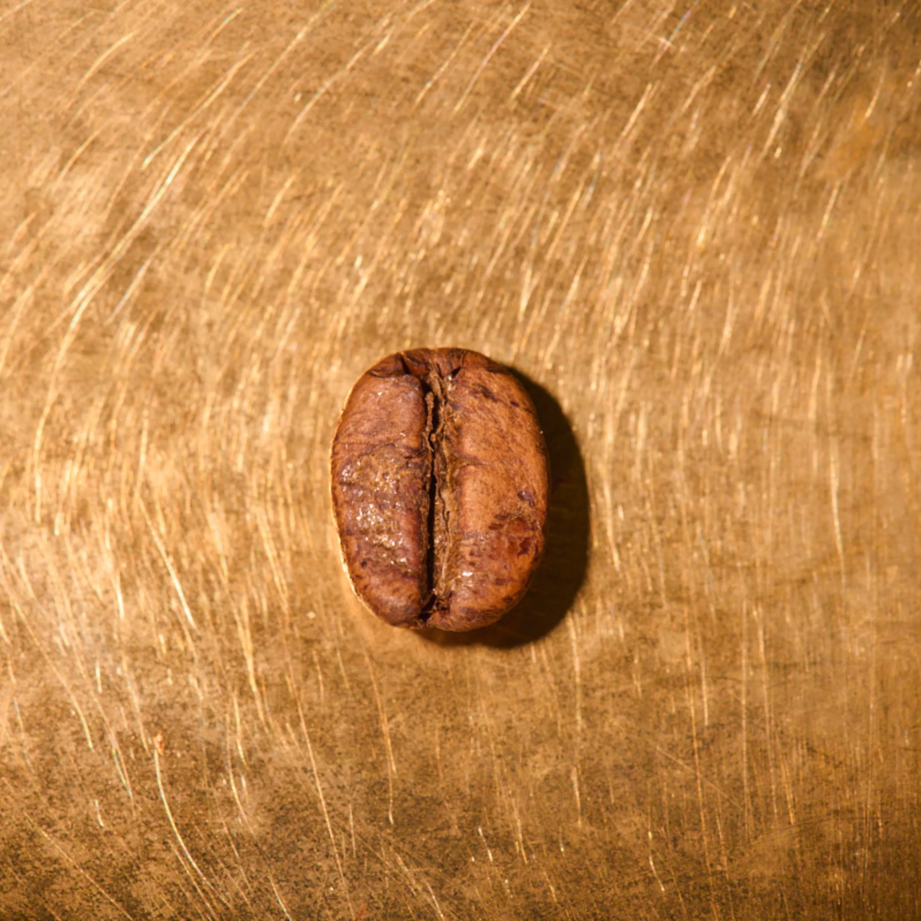 Kaffeebohne geröstet einzeln Kolumbien El Paraiso Lychee Portrait | Die Rösterei Coffeum Hamburg