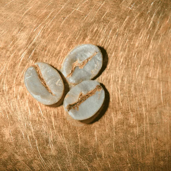 Rohkaffeebohnen einzeln Brasilien Fazenda Santurio Sul Lot 14 Portrait | Die Rösterei Coffeum Hamburg