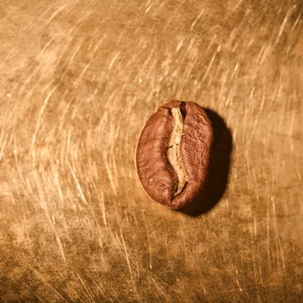 Kaffeebohne geröstet einzeln Kenia Single Farmkaffee Portrait | Die Rösterei Coffeum Hamburg