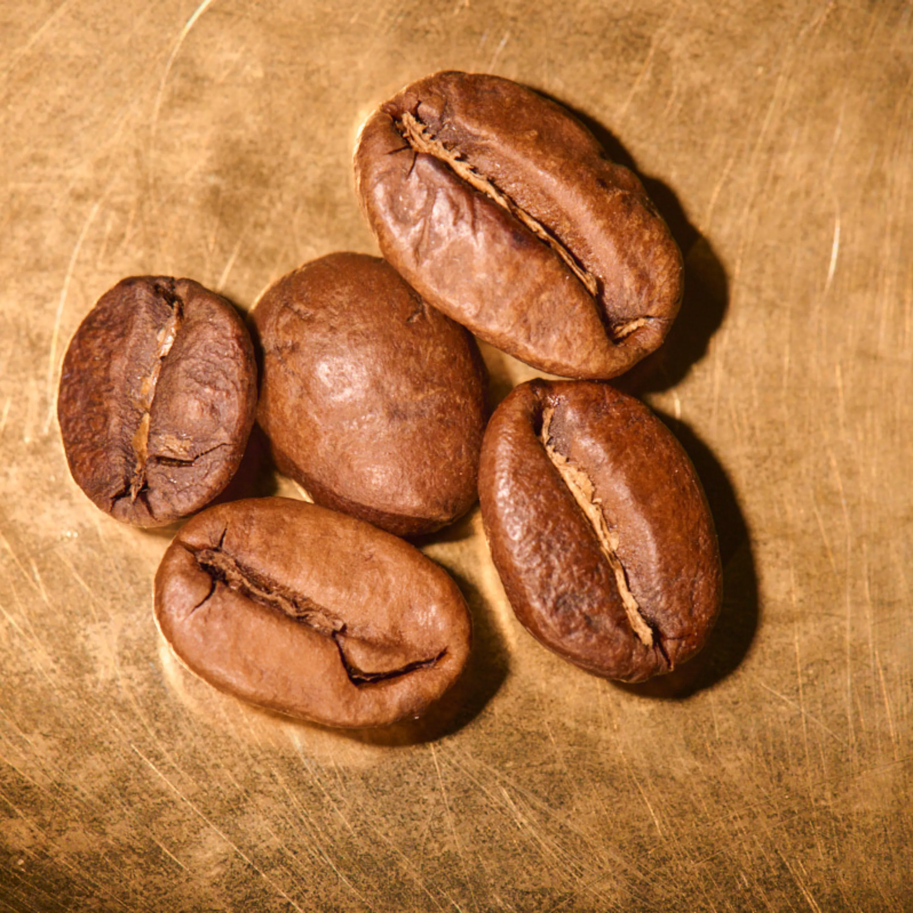 Kaffeebohnen geröstet  Blend Hanseaten-Mischung auf goldenem Hintergrund | Die Rösterei Coffeum Hamburg