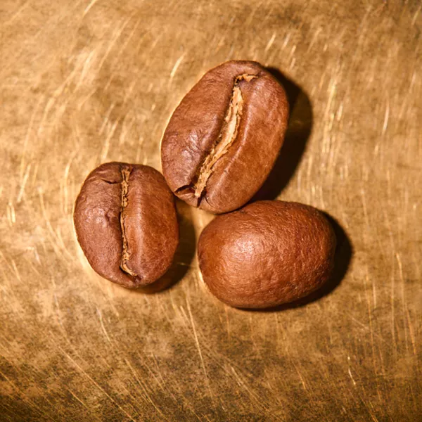 Kaffeebohnen geröstet  Indien Estate Kalledevarapura Portrait | Die Rösterei Coffeum Hamburg