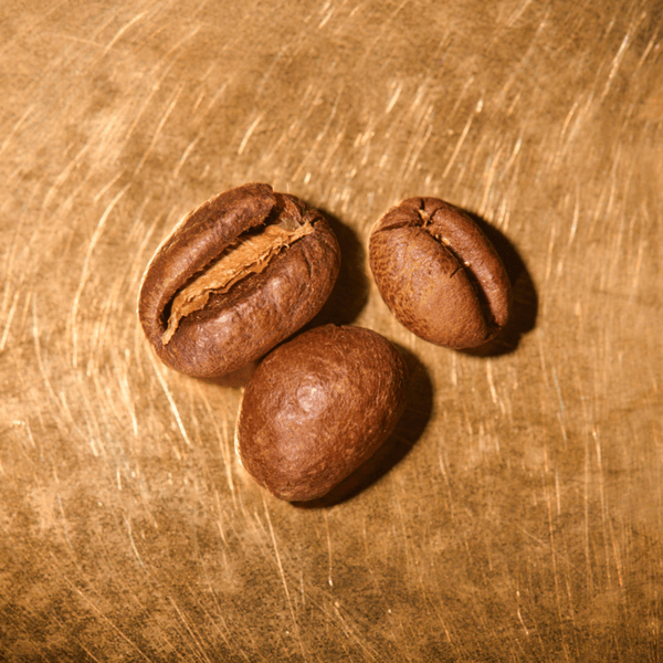 Kaffeebohnen geröstet  Tansania Ngila Estate Barrique Portrait | Die Rösterei Coffeum Hamburg