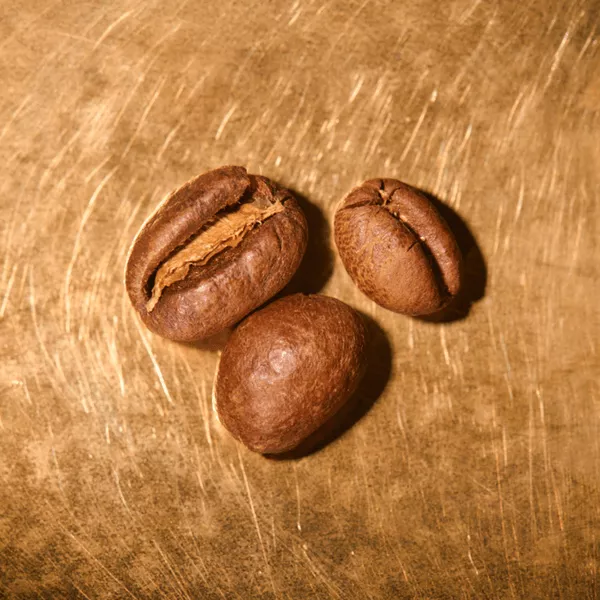 Kaffeebohnen geröstet  Tansania Ngila Estate Barrique Portrait | Die Rösterei Coffeum Hamburg