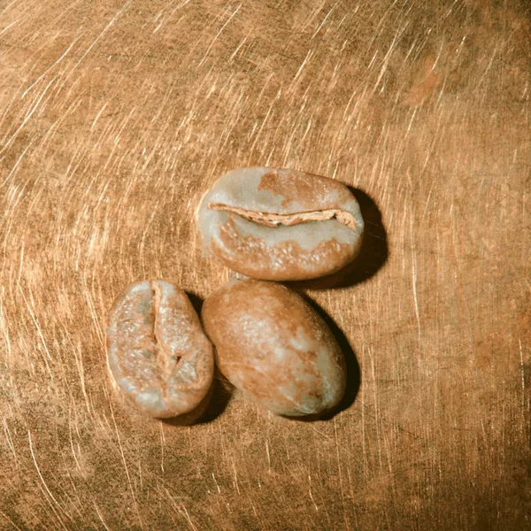 Rohkaffeebohnen einzeln Äthiopien Sidamo Portrait | Die Rösterei Coffeum Hamburg