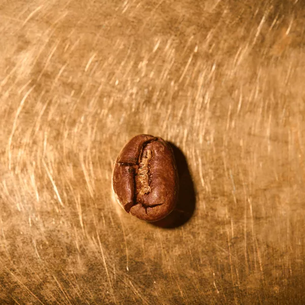 Kaffeebohne geröstet einzeln Tansania Ngila Estate Pearl Portrait | Die Rösterei Coffeum Hamburg