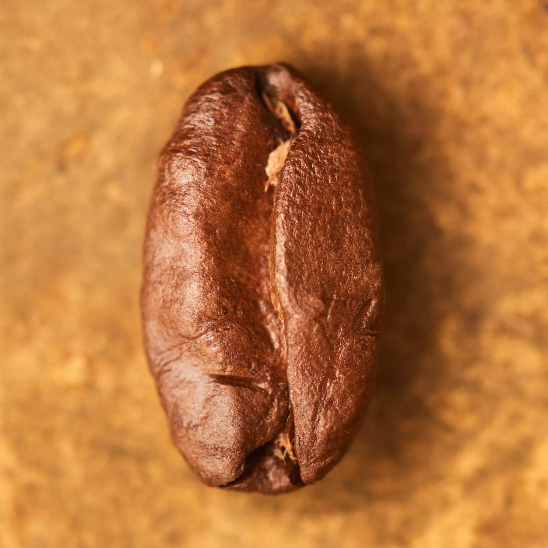 El Cerro Pacamara Honey