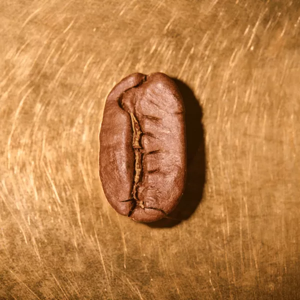 Kaffeebohne geröstet einzeln Nicaragua Maragogype Portrait | Die Rösterei Coffeum Hamburg