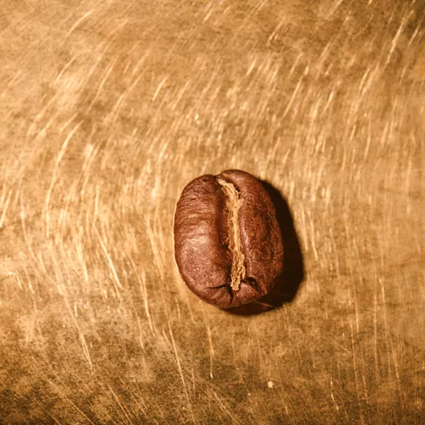 Kaffeebohne geröstet einzeln Kenia Single Farmkaffee Portrait | Die Rösterei Coffeum Hamburg