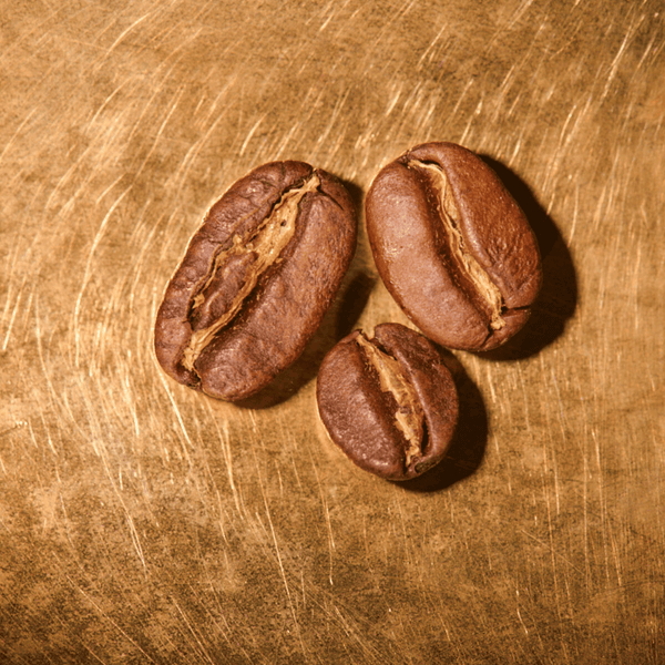 Kaffeebohnen geröstet  Äthiopien Yirgacheffe Portrait | Die Rösterei Coffeum Hamburg