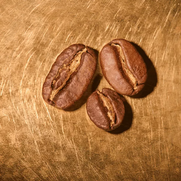 Kaffeebohnen geröstet  Äthiopien Yirgacheffe Portrait | Die Rösterei Coffeum Hamburg