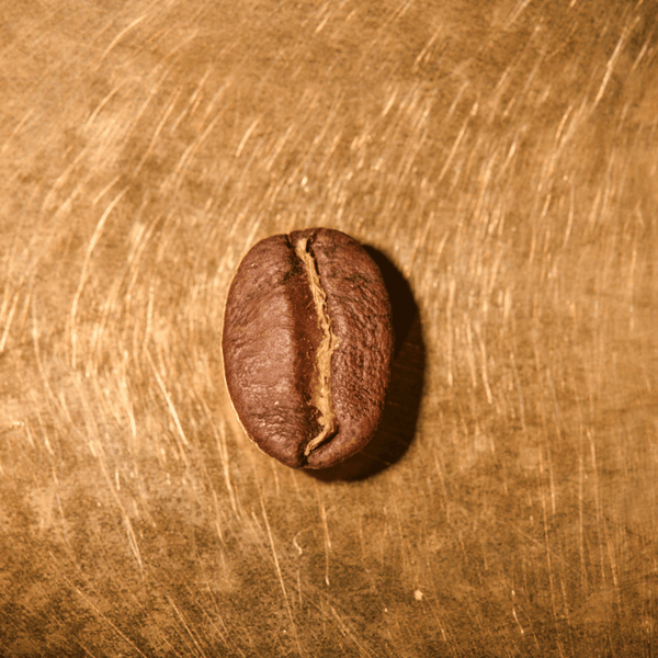 Kaffeebohne geröstet einzeln Peru Finca Rosenheim Portrait | Die Rösterei Coffeum Hamburg