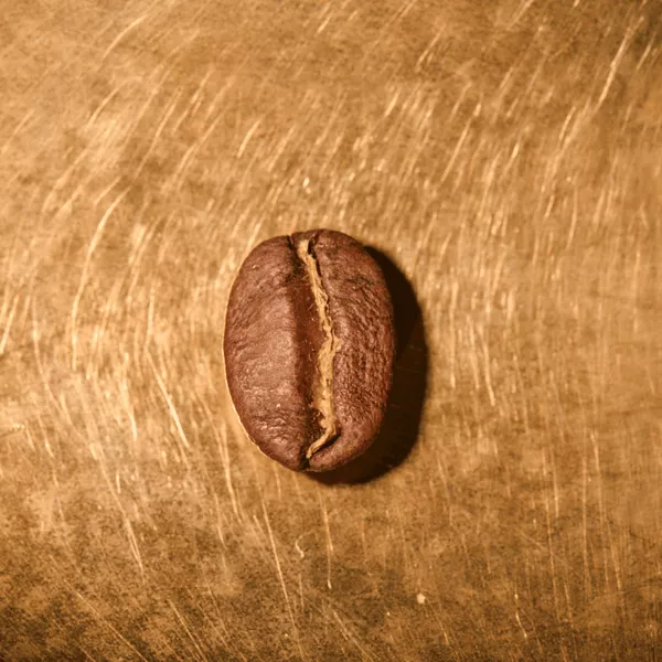 Kaffeebohne geröstet einzeln Peru Finca Rosenheim Portrait | Die Rösterei Coffeum Hamburg