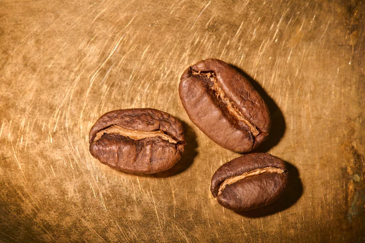 Kaffeebohnen geröstet  Ecuador Cruz Loma Sidra auf goldenem Hintergrund | Die Rösterei Coffeum Hamburg
