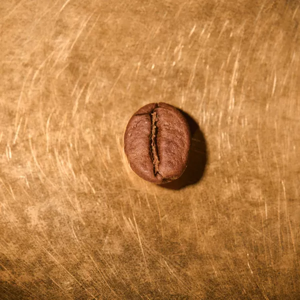 Kaffeebohne geröstet einzeln Indien R100 - Harley Estate Portrait | Die Rösterei Coffeum Hamburg