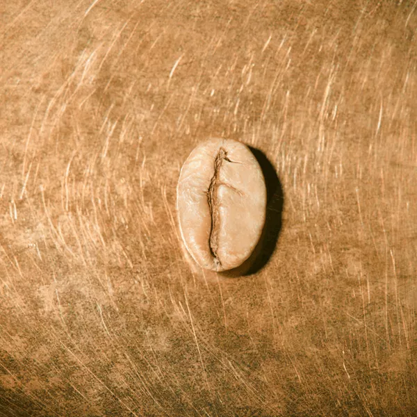 Rohkaffeebohne einzeln Indien Ratnagiri Pearl Mountain auf goldenem Hintergrund | Die Rösterei Coffeum Hamburg