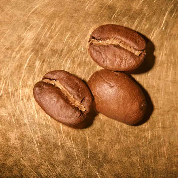 Kaffeebohnen geröstet  Mexiko Las Chicharras School Projekt auf goldenem Hintergrund | Die Rösterei Coffeum Hamburg