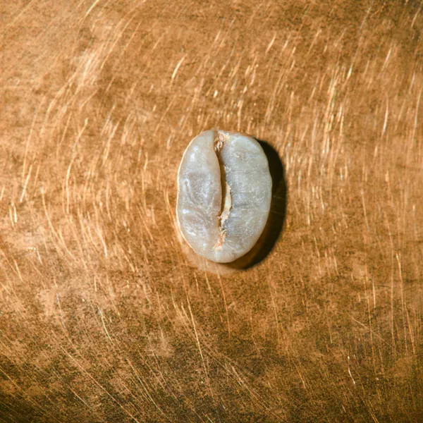 Kaffeebohnen geröstet  Indien Estate Kalledevarapura Portrait | Die Rösterei Coffeum Hamburg