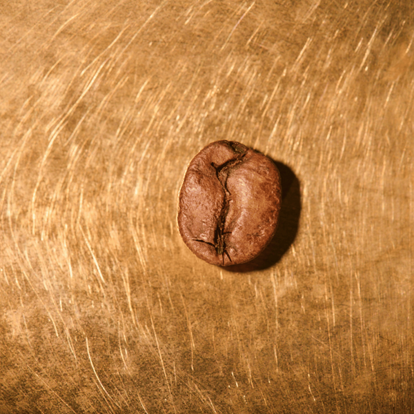 Kaffeebohne geröstet einzeln Costa Rica Tarrazu Juanachute Portrait | Die Rösterei Coffeum Hamburg