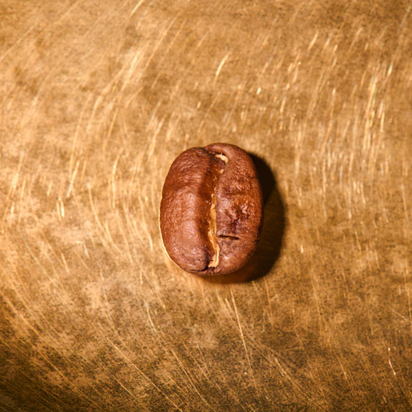 Kaffeebohne geröstet einzeln Indien Estate Kalledevarapura Portrait | Die Rösterei Coffeum Hamburg