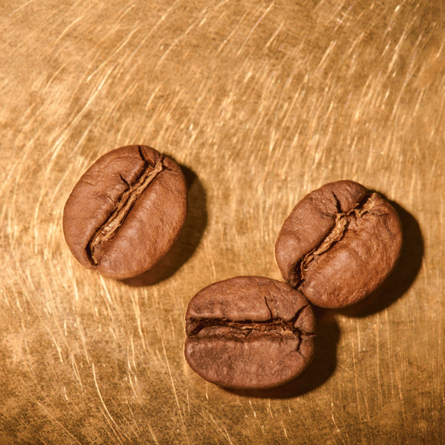 Kaffeebohnen geröstet  Brasilien Fazenda Irmas Pereira Lot 12 Portrait | Die Rösterei Coffeum Hamburg