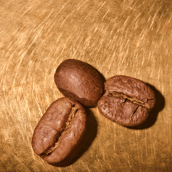 Kaffeebohnen geröstet  Kolumbien Excelso Portrait | Die Rösterei Coffeum Hamburg