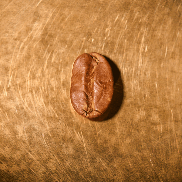 Kaffeebohne geröstet einzeln Indien Ratnagiri Pearl Mountain auf goldenem Hintergrund | Die Rösterei Coffeum Hamburg
