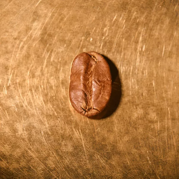 Kaffeebohne geröstet einzeln Indien Ratnagiri Pearl Mountain auf goldenem Hintergrund | Die Rösterei Coffeum Hamburg
