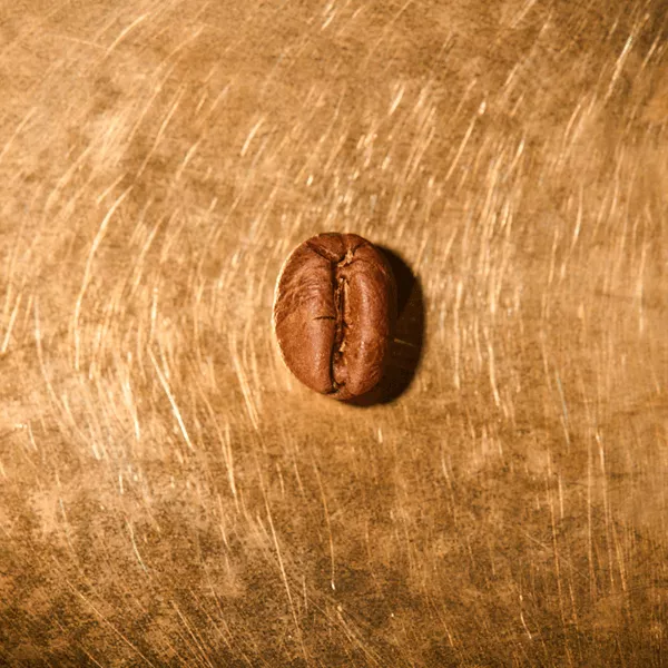 Kaffeebohne geröstet einzeln Tansania Ngila Estate Barrique Portrait | Die Rösterei Coffeum Hamburg