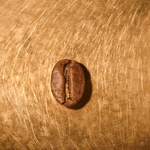 Kaffeebohne geröstet einzeln Kolumbien Excelso Portrait | Die Rösterei Coffeum Hamburg