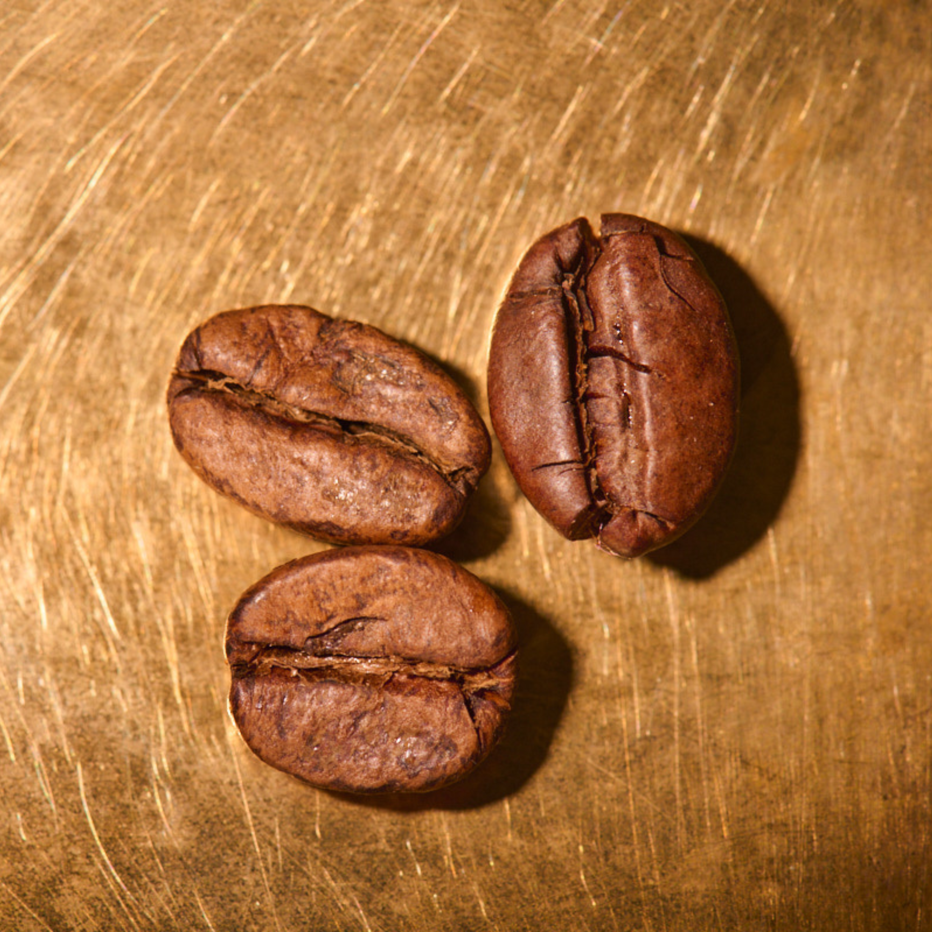 Kaffeebohnen geröstet  Kolumbien El Paraiso Lychee Portrait | Die Rösterei Coffeum Hamburg