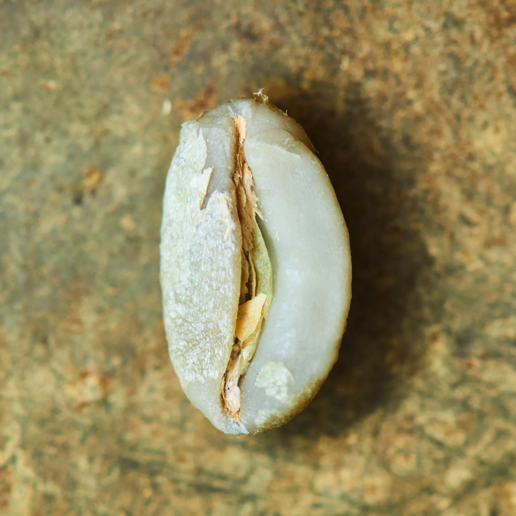 El Cerro Pacamara Honey