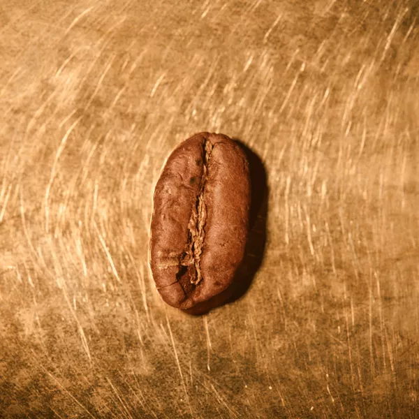Kaffeebohne geröstet einzeln Kenia Blue Mountain Portrait | Die Rösterei Coffeum Hamburg