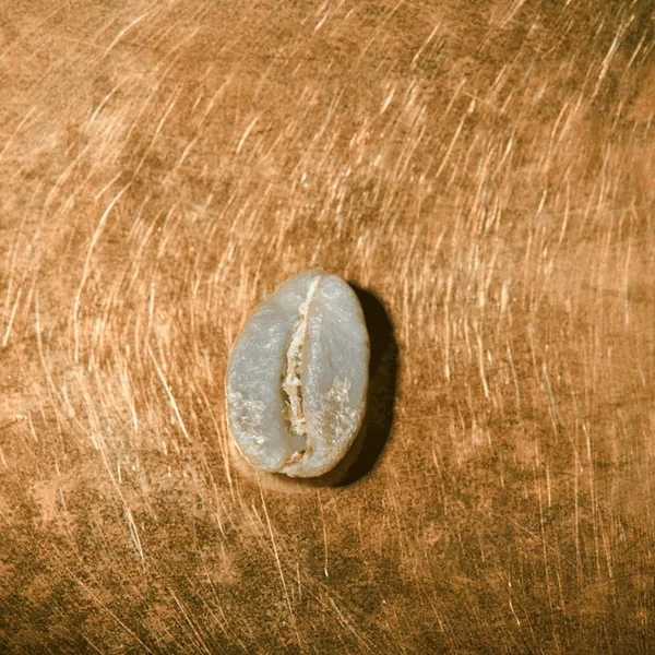 Rohkaffeebohne einzeln Kenia Single Farmkaffee Portrait | Die Rösterei Coffeum Hamburg