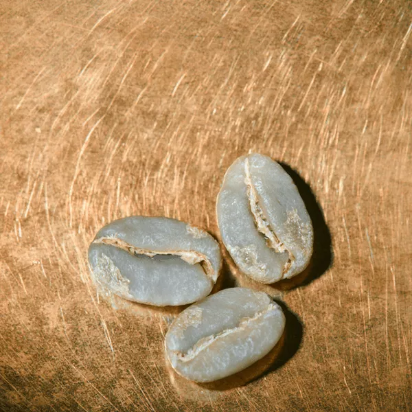 Rohkaffeebohnen einzeln Kenia Single Farmkaffee Portrait | Die Rösterei Coffeum Hamburg