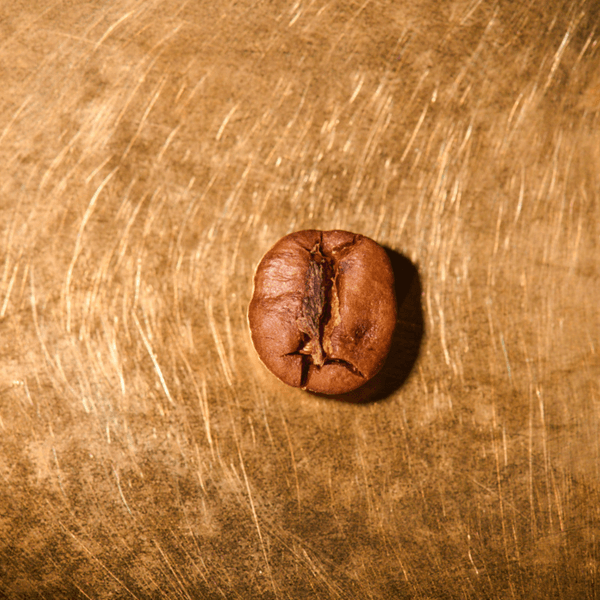 Kaffeebohne geröstet einzeln Jemen Mocca Matari Portrait | Die Rösterei Coffeum Hamburg