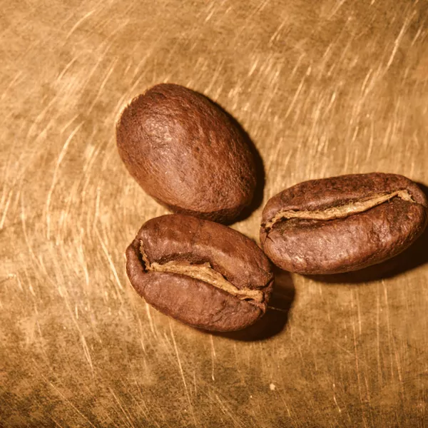 Kaffeebohnen geröstet  Peru Finca Rosenheim Portrait | Die Rösterei Coffeum Hamburg