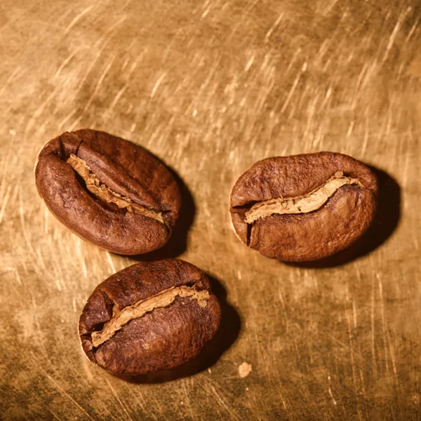 Kaffeebohnen geröstet  Kenia Single Farmkaffee Portrait | Die Rösterei Coffeum Hamburg