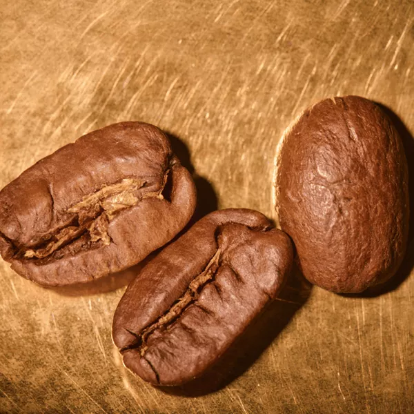 Kaffeebohnen geröstet  Nicaragua Maragogype Portrait | Die Rösterei Coffeum Hamburg