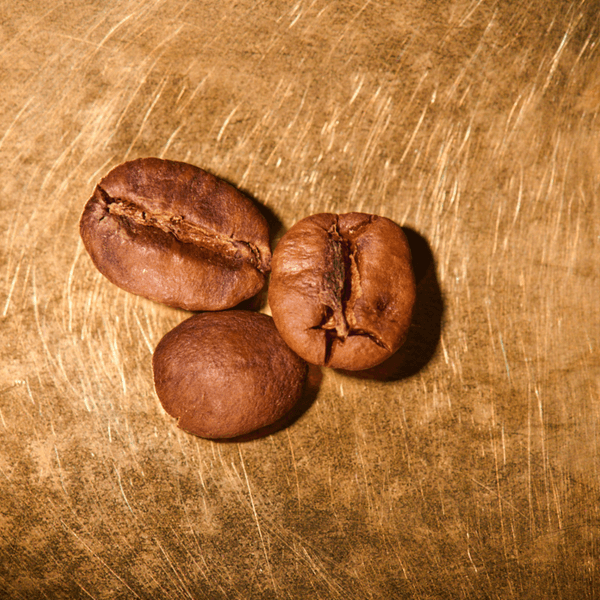 Kaffeebohnen geröstet  Jemen Mocca Matari Portrait | Die Rösterei Coffeum Hamburg