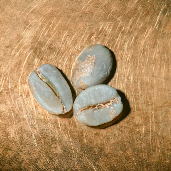 Rohkaffeebohnen Mexiko Las Chicharras School Projekt auf goldenem Hintergrund | Die Rösterei Coffeum Hamburg