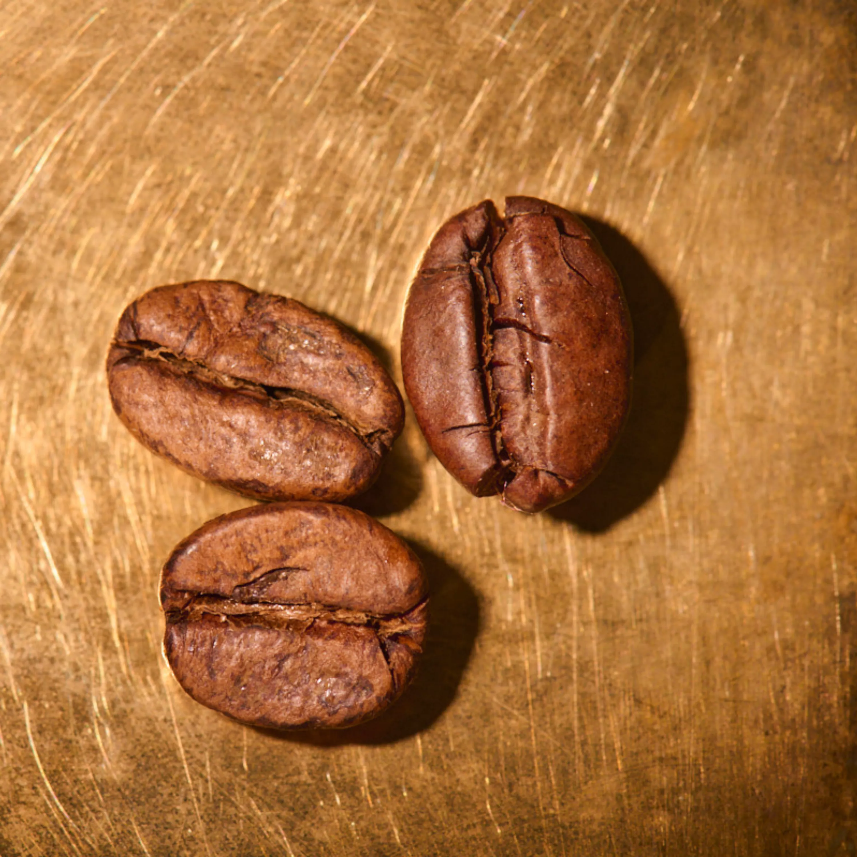 Kaffeebohnen geröstet  Blend Espresso Italiano No1 auf goldenem Hintergrund | Die Rösterei Coffeum Hamburg