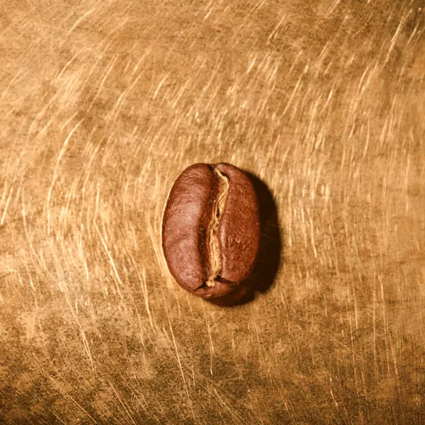 Kaffeebohne geröstet einzeln Äthiopien Yirgacheffe Portrait | Die Rösterei Coffeum Hamburg