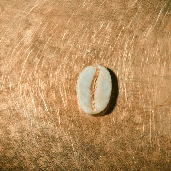 Rohkaffeebohne einzeln Jemen Mocca Matari Portrait | Die Rösterei Coffeum Hamburg