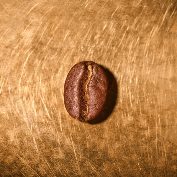 Kaffeebohne geröstet einzeln Kenia Single Farmkaffee Portrait | Die Rösterei Coffeum Hamburg