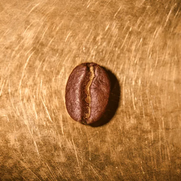 Kaffeebohne geröstet einzeln Kenia Single Farmkaffee Portrait | Die Rösterei Coffeum Hamburg