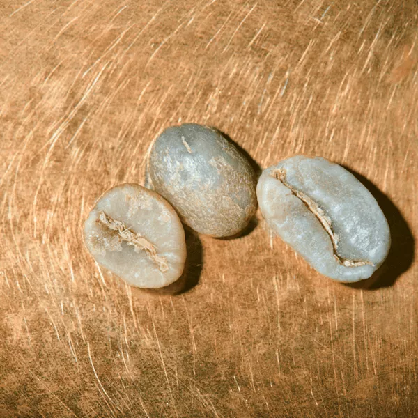 Rohkaffeebohnen einzeln Kolumbien Excelso Portrait | Die Rösterei Coffeum Hamburg